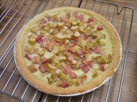 rhubarb custard pie