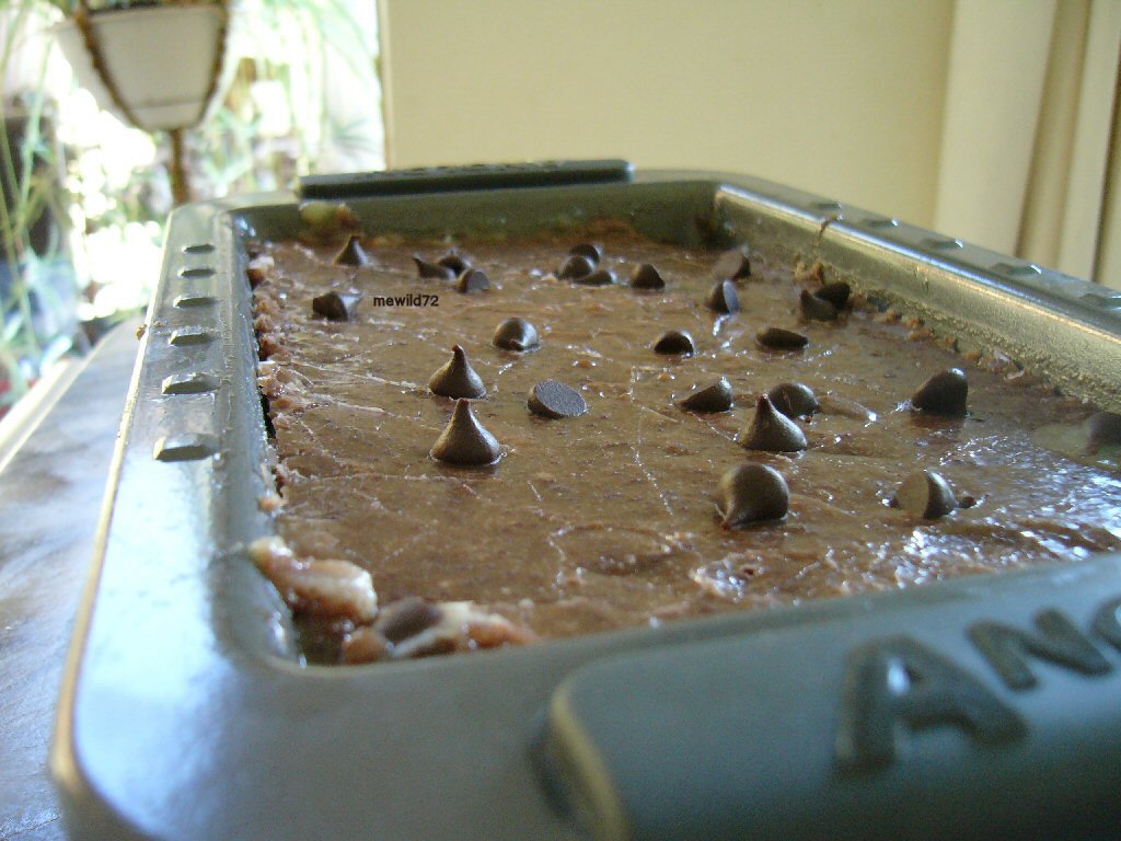 chocolate chip fudge